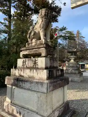 多賀大社の狛犬