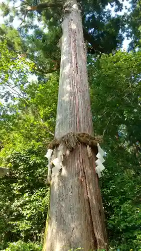 高鴨神社(奈良県)