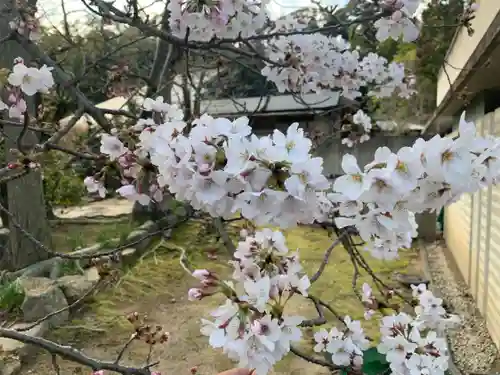 伊勢の国 四天王寺の自然