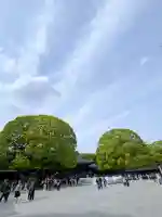 明治神宮の{uncategorized: "未分類", other: "その他", undefined: "問題あり", building: "その他建物", grave: "お墓", sacred_gate: "鳥居", guardian: "狛犬", statue: "像", buddha: "仏像", history: "歴史", nature: "自然", garden: "庭園", animal: "動物", pagoda: "塔", temizu: "手水舎", mountain_gate: "山門・神門", sanctuary: "本殿・本堂", subordinate: "末社・摂社", art: "芸術", scenery: "景色", jizo: "地蔵", ema: "絵馬", goshuin: "御朱印", omikuji: "おみくじ", items: "授与品その他", amulet: "お守り", goshuincho: "御朱印帳", eats: "食事", festival: "お祭り", votive_dance: "神楽", shichigosan: "七五三参", wedding: "結婚式", experience: "体験その他", initially: "初詣", around: "周辺", anti_infection: "感染症対策"}