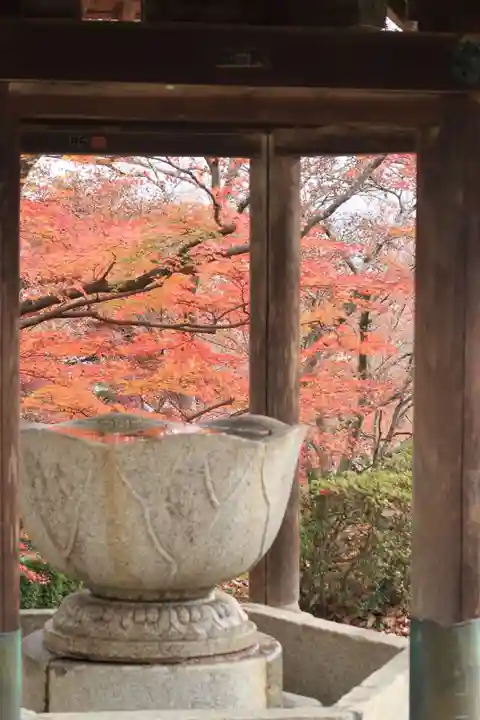 西教寺のその他建物