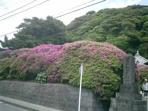 安養院　(田代寺）の周辺