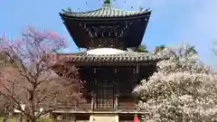 清凉寺の建物その他