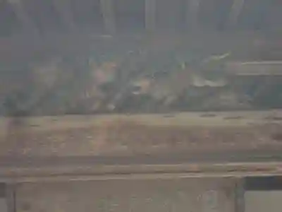 吉祥寺(愛知県)