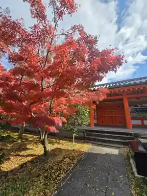 蓮華王院（三十三間堂）(京都府)