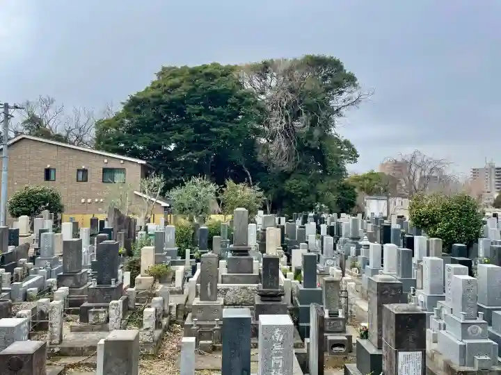 長運寺の{uncategorized: "未分類", other: "その他", undefined: "問題あり", building: "その他建物", grave: "お墓", sacred_gate: "鳥居", guardian: "狛犬", statue: "像", buddha: "仏像", history: "歴史", nature: "自然", garden: "庭園", animal: "動物", pagoda: "塔", temizu: "手水舎", mountain_gate: "山門・神門", sanctuary: "本殿・本堂", subordinate: "末社・摂社", art: "芸術", scenery: "景色", jizo: "地蔵", ema: "絵馬", goshuin: "御朱印", omikuji: "おみくじ", items: "授与品その他", amulet: "お守り", goshuincho: "御朱印帳", eats: "食事", festival: "お祭り", votive_dance: "神楽", shichigosan: "七五三参", wedding: "結婚式", experience: "体験その他", initially: "初詣", around: "周辺", anti_infection: "感染症対策"}
