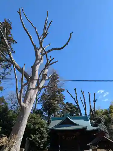 酒門神社(茨城県)