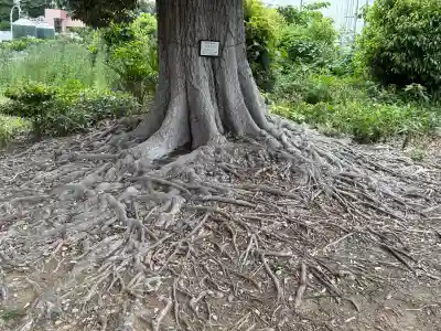秋葉神社の{uncategorized: "未分類", other: "その他", undefined: "問題あり", building: "その他建物", grave: "お墓", sacred_gate: "鳥居", guardian: "狛犬", statue: "像", buddha: "仏像", history: "歴史", nature: "自然", garden: "庭園", animal: "動物", pagoda: "塔", temizu: "手水舎", mountain_gate: "山門・神門", sanctuary: "本殿・本堂", subordinate: "末社・摂社", art: "芸術", scenery: "景色", jizo: "地蔵", ema: "絵馬", goshuin: "御朱印", omikuji: "おみくじ", items: "授与品その他", amulet: "お守り", goshuincho: "御朱印帳", eats: "食事", festival: "お祭り", votive_dance: "神楽", shichigosan: "七五三参", wedding: "結婚式", experience: "体験その他", initially: "初詣", around: "周辺", anti_infection: "感染症対策"}
