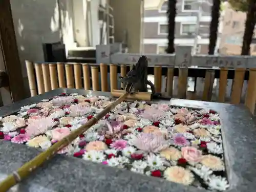 高円寺氷川神社(東京都)