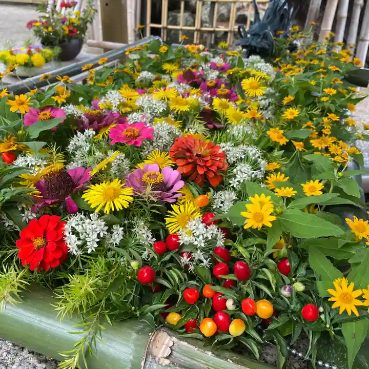 竹神社の手水舎