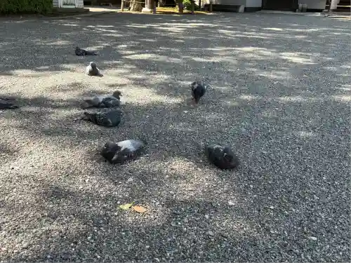 出水神社(熊本県)
