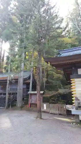 諏訪大社の自然