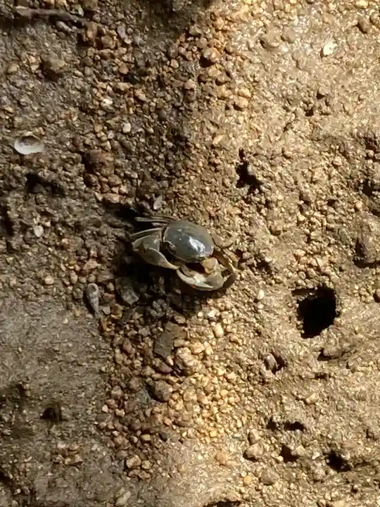 厳島神社(広島県)