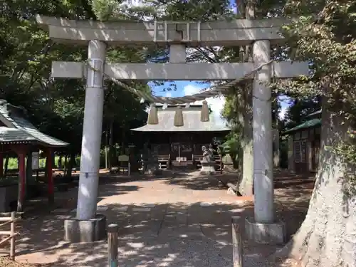 胸形神社の鳥居