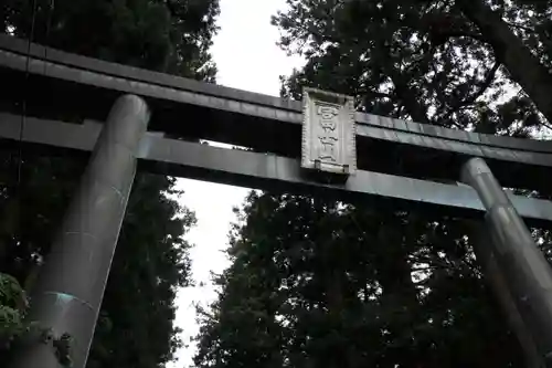 北口本宮冨士浅間神社の鳥居