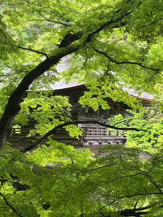 金剛院(京都府)