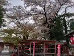 日限地蔵尊 観音院の庭園