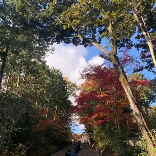 光明寺（粟生光明寺）(京都府)