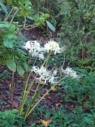 妙楽寺(神奈川県)