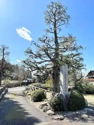 善福寺(滋賀県)