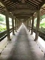 長谷寺(奈良県)