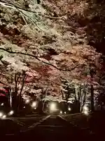 土津神社|こどもと出世の神さまの自然