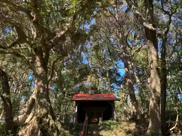 十二所神社の本殿・本堂