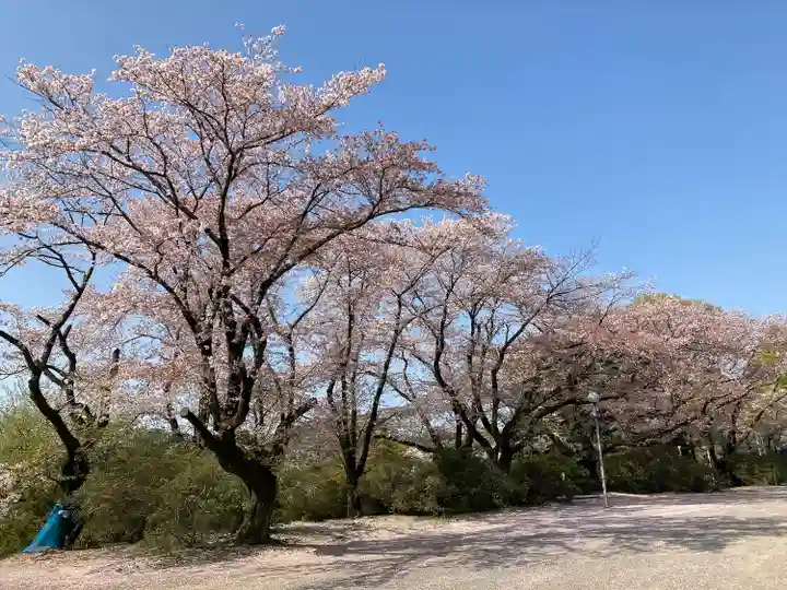 尾曳稲荷神社の自然