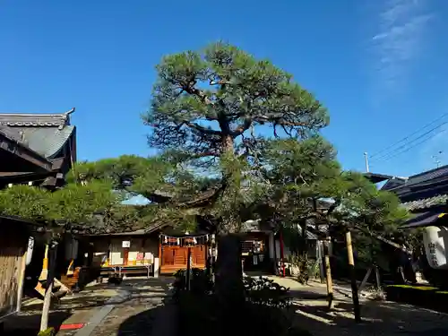 御霊神社(奈良県)