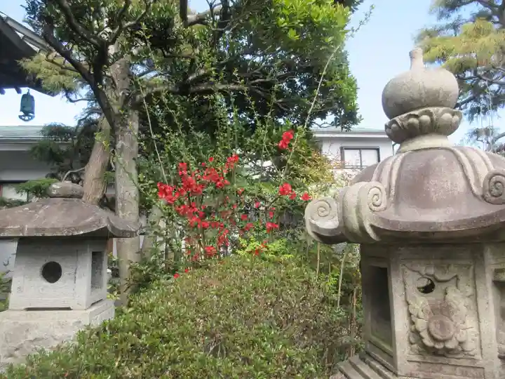 圓宗寺(神奈川県)