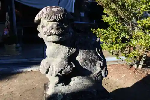 油井神社の狛犬