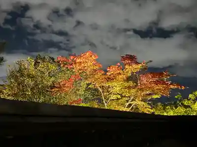 高台寺（高台寿聖禅寺・高臺寺）(京都府)
