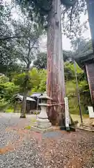 宇波西神社(福井県)