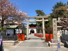 荒井神社の鳥居