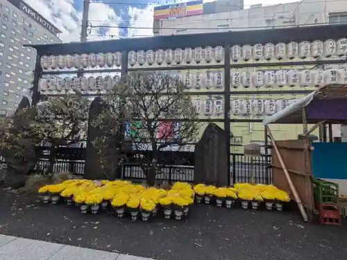 眞性寺(東京都)
