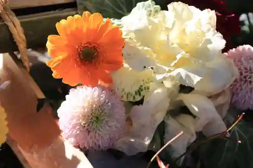 豊景神社の手水舎