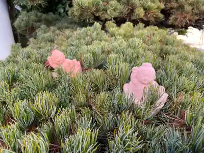 円照寺(兵庫県)