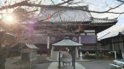 曼荼羅寺の本殿・本堂