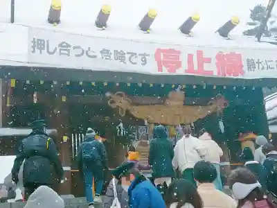北海道神宮の初詣