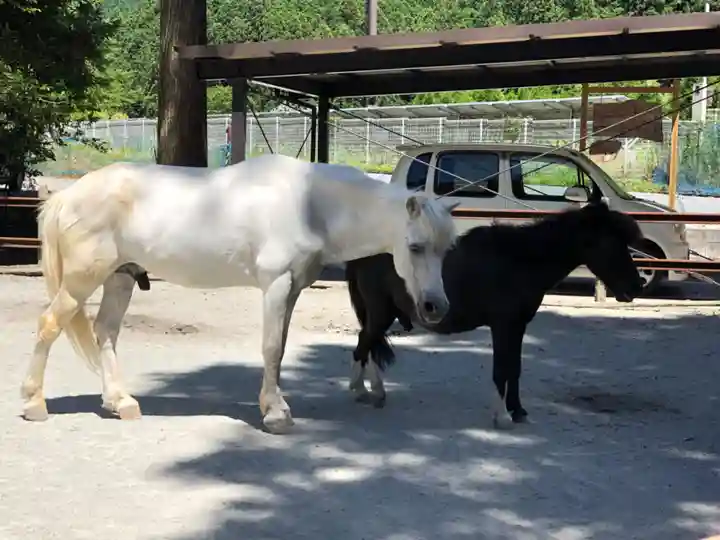 丹生川上神社(下社)(奈良県)