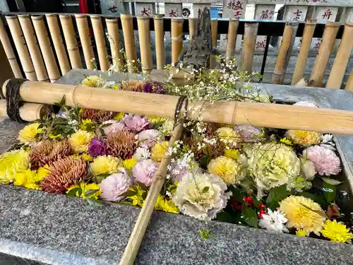 高円寺氷川神社の手水