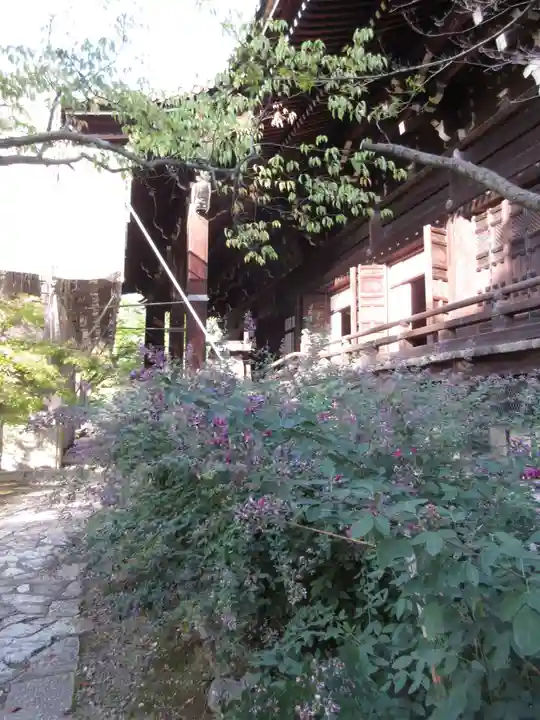 真正極楽寺(真如堂)の本殿・本堂