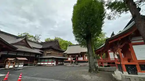 鹿児島神宮(鹿児島県)