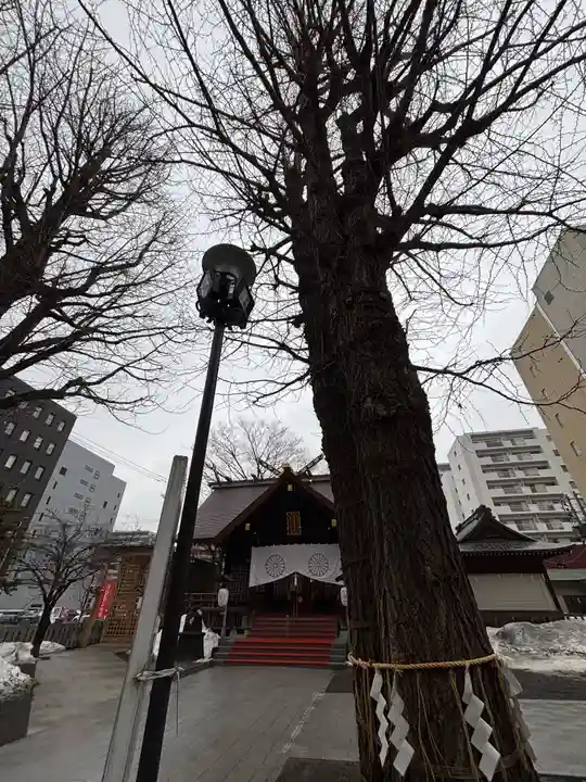 北海道神宮頓宮の自然