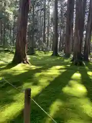 平泉寺白山神社の自然