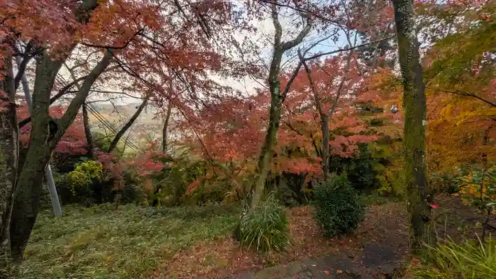 若山神社(大阪府)