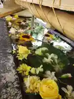鳩森八幡神社の手水舎