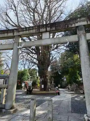 鳩森八幡神社の鳥居