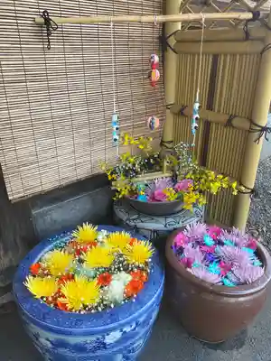 多賀神社の手水舎