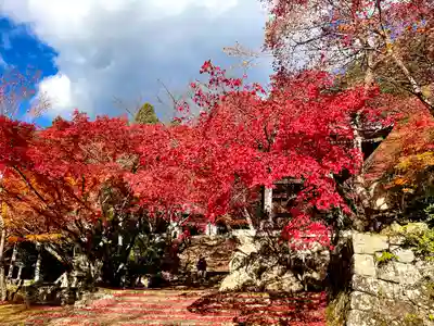 東光寺(滋賀県)